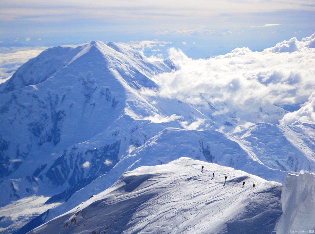 Climb Denali with RMI Expeditions